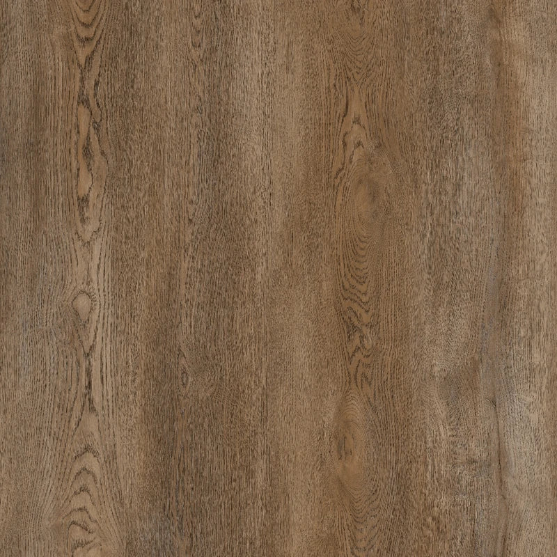Forge Range 4+1 Glue Down LVT 20mil 5mm 9x60 | Infinity Floors