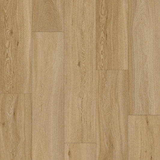 Forge Flow 4+1 Glue Down LVT 20mil 5mm 9x60 | Infinity Floors