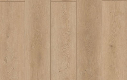 Indoor Delight Forest Timber 20mil 6.5mm 9x72 SPC Vinyl Plank | Lions Floor