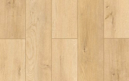Indoor Delight Woodland Charm 20mil 6.5mm 9x72 SPC Vinyl Plank | Lions Floor