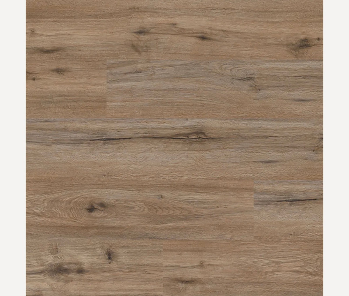Alpine - Sahara Oak | 22mil 5mm 7x48 SPC Vinyl Plank | NextGen Surfaces