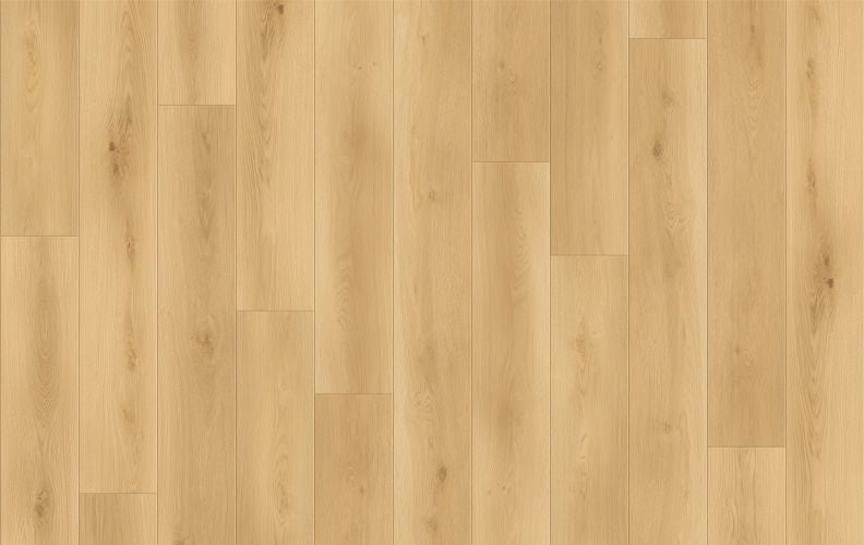 Canyon Coast - Summit Shoreline | 20mil 10mm 9x72 WPC Vinyl Plank | Lions Floor