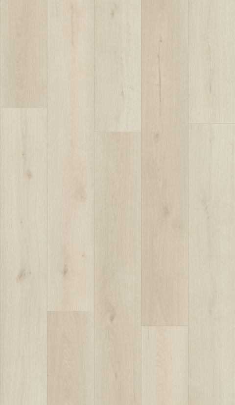Elevate Birch Beach 20 mil 3mm 7x48 Glue Down LVP | United Weavers / Caspar Flooring Direct