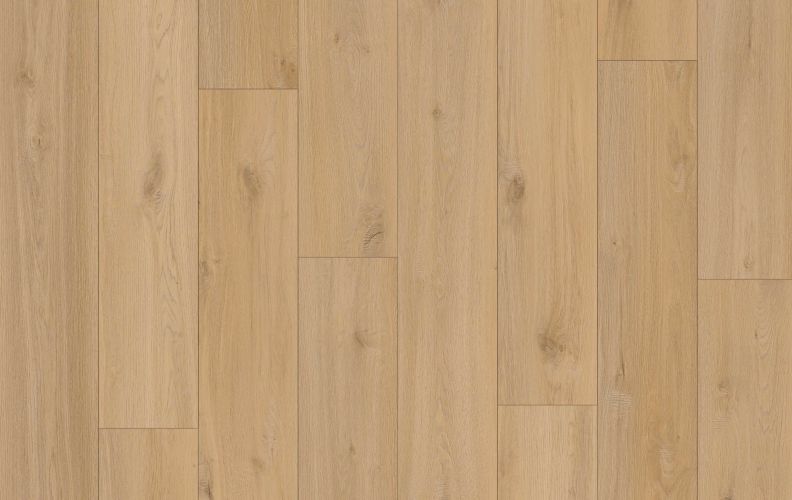 Lions Reservation Tallgrass Drift 20mil 6mm 7x60 SPC Vinyl Plank | Lions Floor