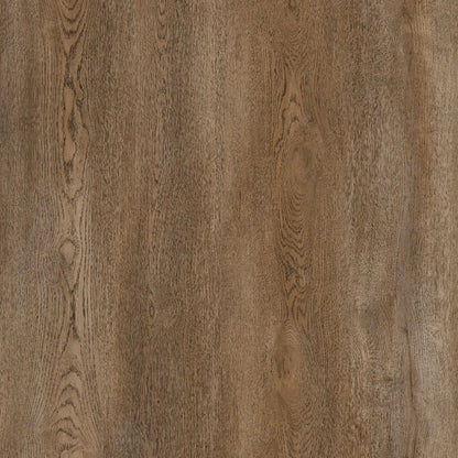 Forge Range 4+1 Glue Down LVT 20mil 5mm 9x60 | Infinity Floors