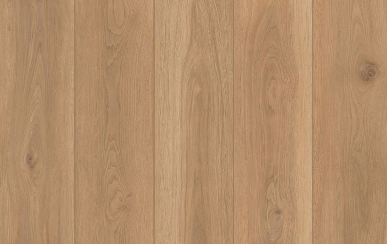 Lone Star Spirit XL Backyard Garnish 20mil 6.5mm 9x72 SPC Vinyl Plank | Lions Floor