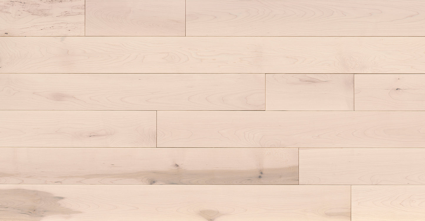 Hudson - Barewood | 3/4” 3.25x12-84RL Maple Solid Hardwood | Portercraft