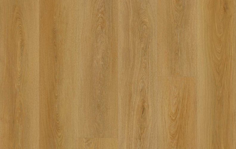 MarkBevel Joiner Path 20mil 8mm 9x72 SPC Vinyl Plank | Lions Floor