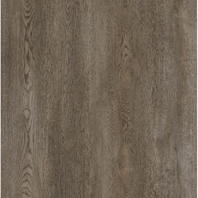 Forge Press 4+1 Glue Down LVT 20mil 5mm 9x60 | Infinity Floors
