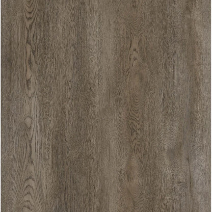Forge Press 4+1 Glue Down LVT 20mil 5mm 9x60 | Infinity Floors