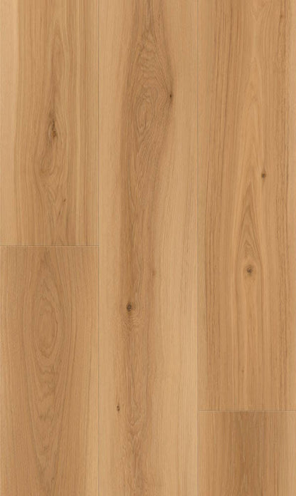 Altus - Alevo | AC5 10mm 9.37x72 Laminate | SLCC