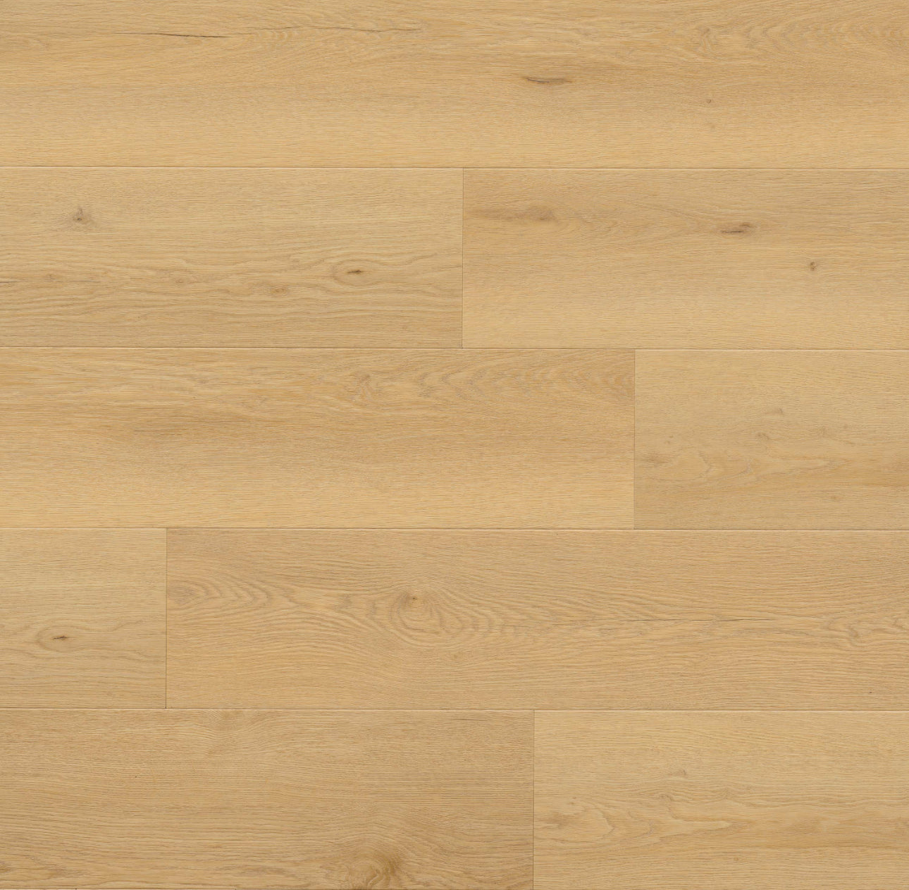 Wayne Parc Bluffview 22mil 10mm 9x60 WPC Vinyl Plank | MSI
