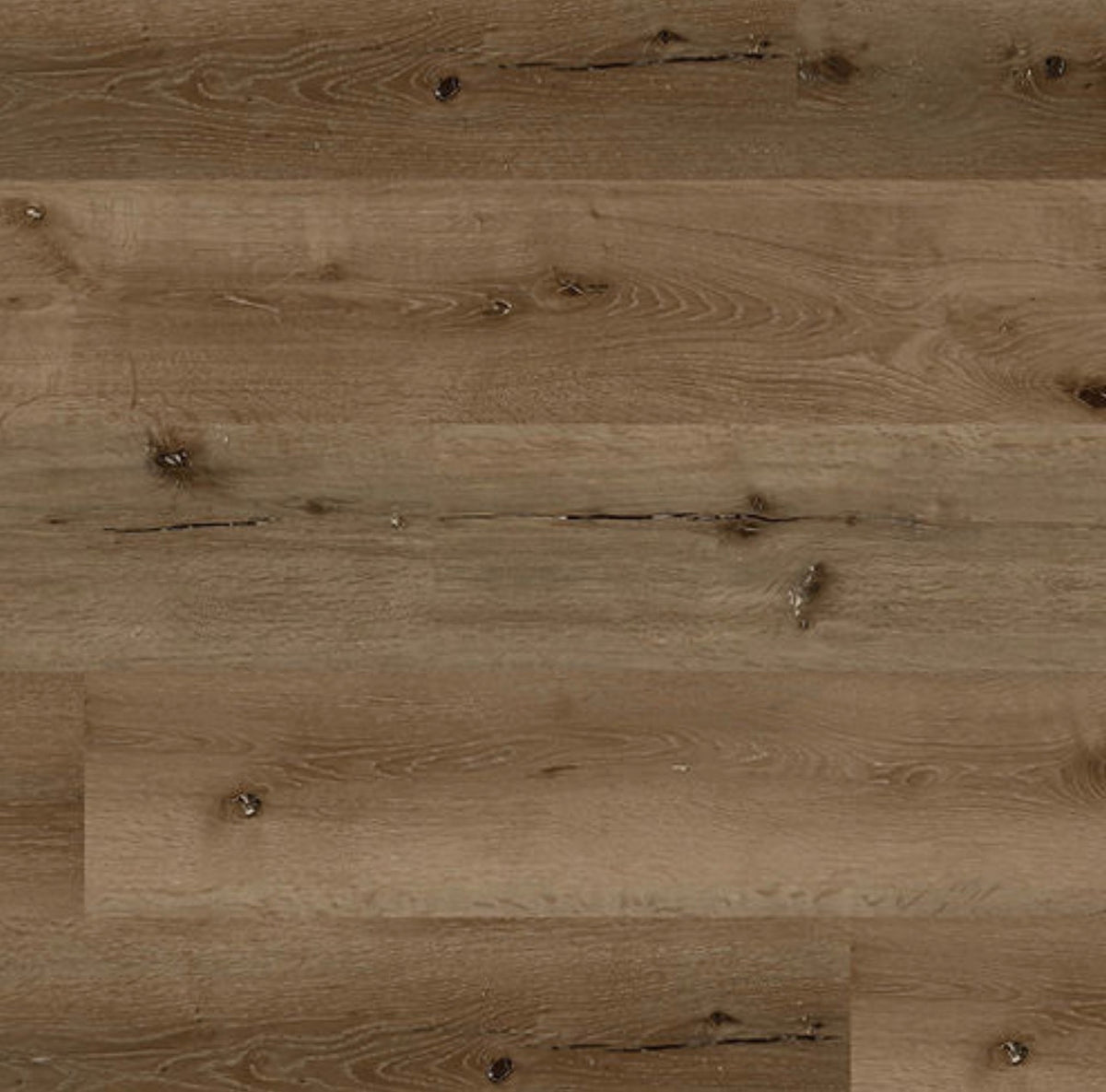 Woodland Oak - Bear Oak | 20mil 6mm 7x60 SPC Vinyl Plank | Republic Floor