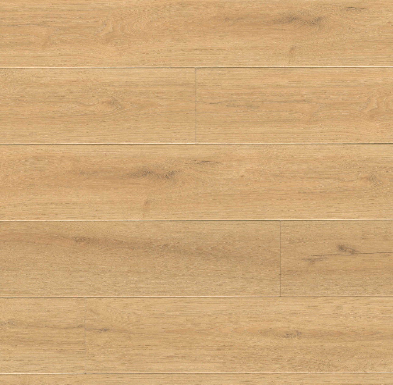 Wayne Parc Elwood 22mil 10mm 9x60 WPC Vinyl Plank | MSI
