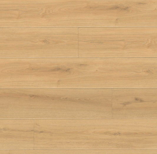 Wayne Parc Elwood 22mil 10mm 9x60 WPC Vinyl Plank | MSI