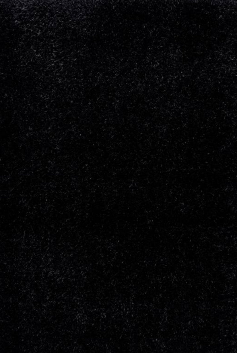 Aubrey collection Black Area Rug | 3100 61077