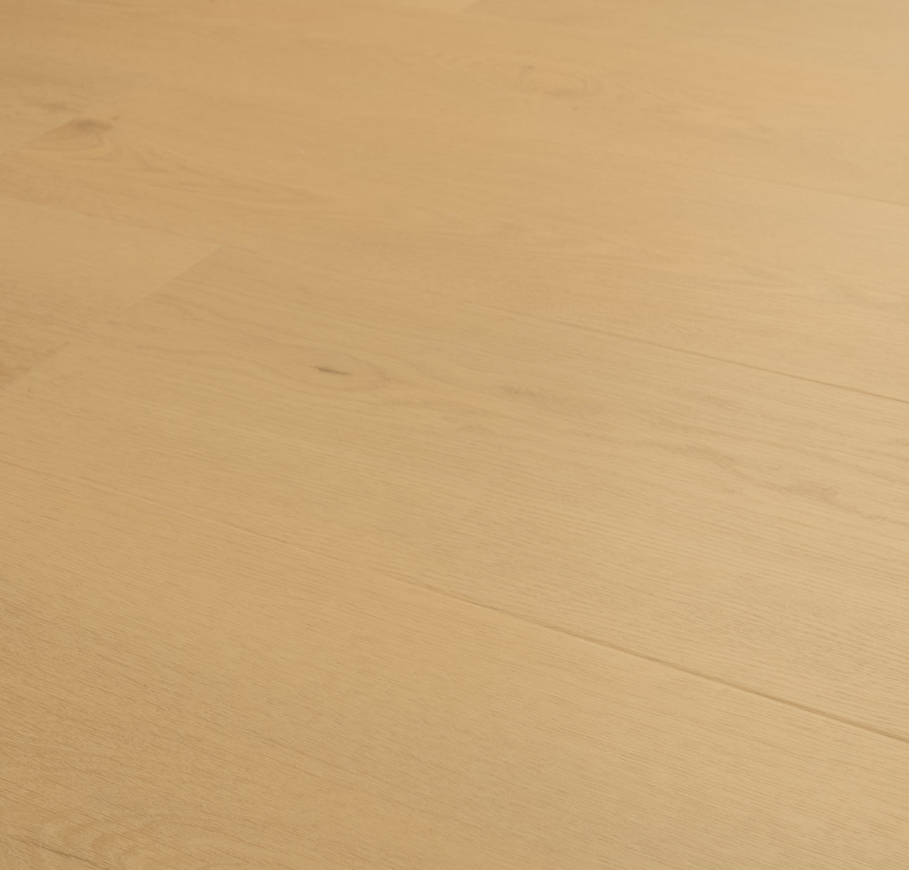 Wayne Parc Bluffview 22mil 10mm 9x60 WPC Vinyl Plank | MSI