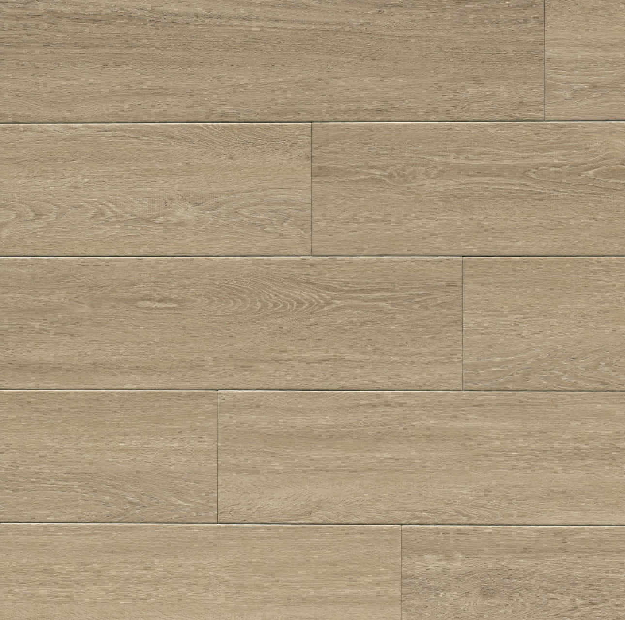 Wayne Parc Andaz 22mil 10mm 9x60 WPC Vinyl Plank | MSI