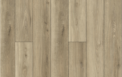 Bambino Dolce 12mil 5mm 7x48 SPC Vinyl Plank | Lions Floor