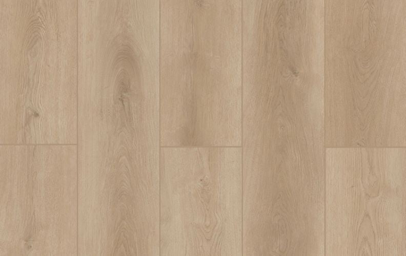 Indoor Delight Castle Forge 20mil 6.5mm 9x72 SPC Vinyl Plank | Lions Floor