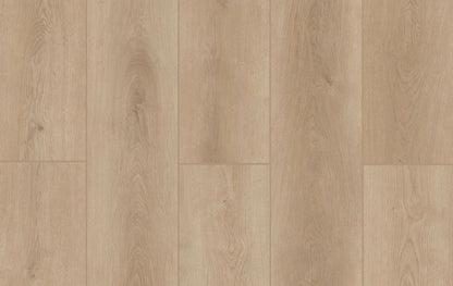 Indoor Delight Castle Forge 20mil 6.5mm 9x72 SPC Vinyl Plank | Lions Floor