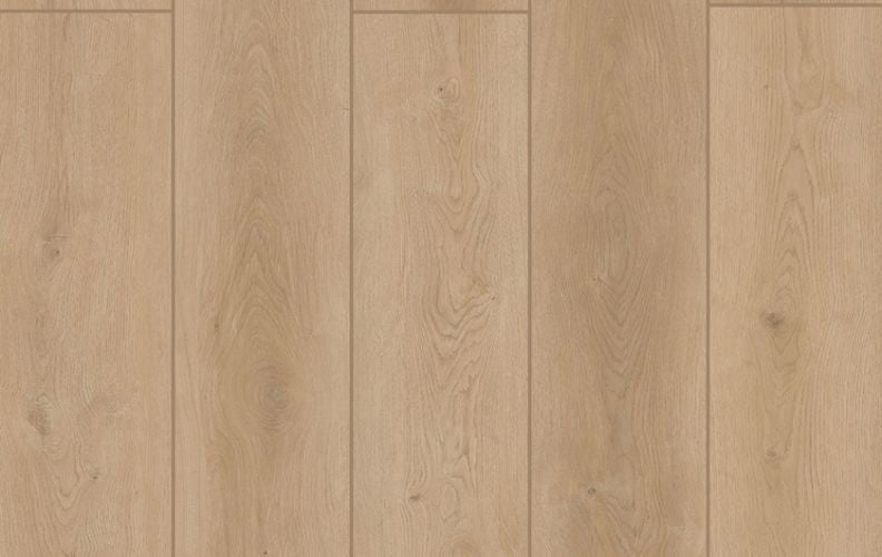 Indoor Delight Forest Timber 20mil 6.5mm 9x72 SPC Vinyl Plank | Lions Floor
