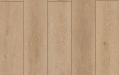 Indoor Delight Forest Timber 20mil 6.5mm 9x72 SPC Vinyl Plank | Lions Floor