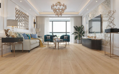 Indoor Delight Forest Timber 20mil 6.5mm 9x72 SPC Vinyl Plank | Lions Floor