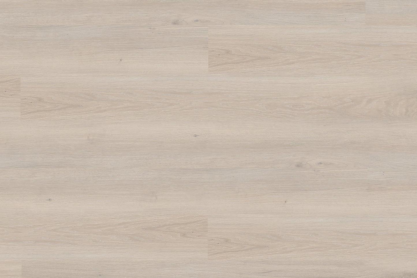 Active Spaces Washington 20 mil 2.5mm 7.25x48 Glue Down LVP | Aperion / Caspar Flooring Direct